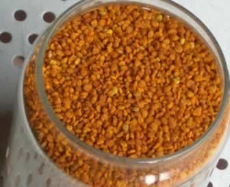 ���������������� ����ʳ����ǿ������