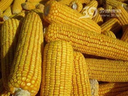 �ߴ�ʳ��ٽ������л