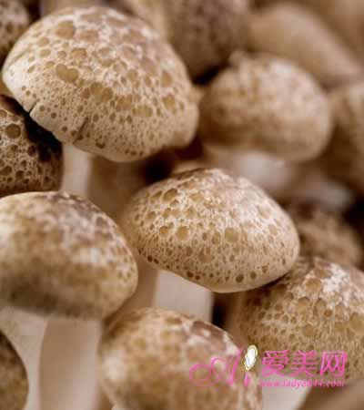 ����6�־���ʳƷ ��������� �������彡��