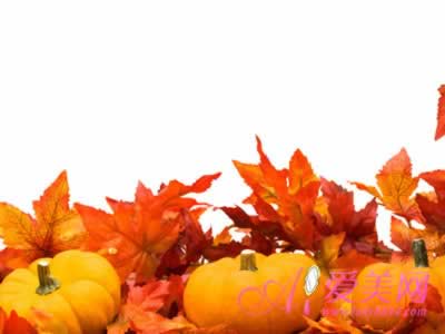 �ϻ�ð�������� �����������߶�����ô��