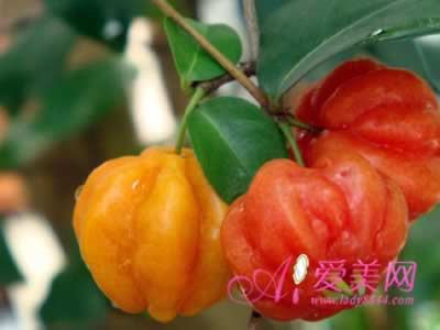 �ϻ�ð�������� �����������߶�����ô��