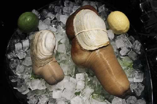 ���˱ؿ����������������׳����