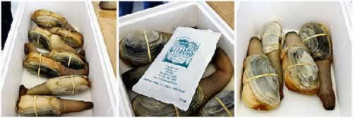 ���˱ؿ����������������׳����