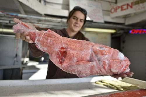 ���˱ؿ����������������׳����