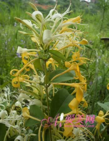 Ů���庮 �ٳ�5��ʳ��������