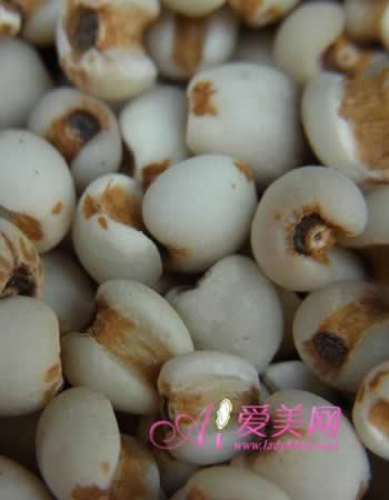 Ů���庮 �ٳ�5��ʳ��������