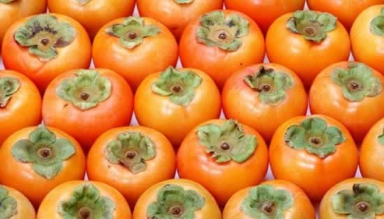 ������������������ʮ��ˮ���ĵ���