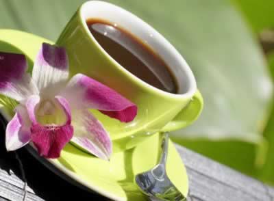 ʳ������������һ��ˮӦ����ô��