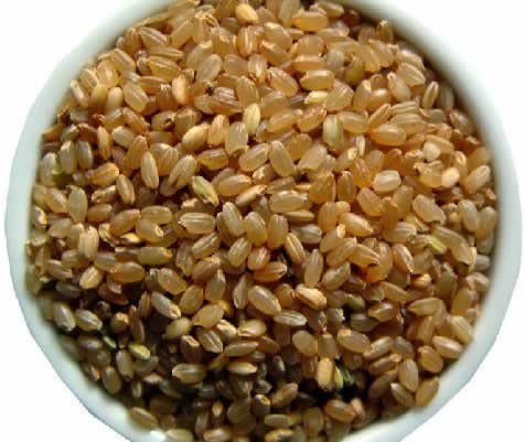 Ů����������16��ʳ�� ������