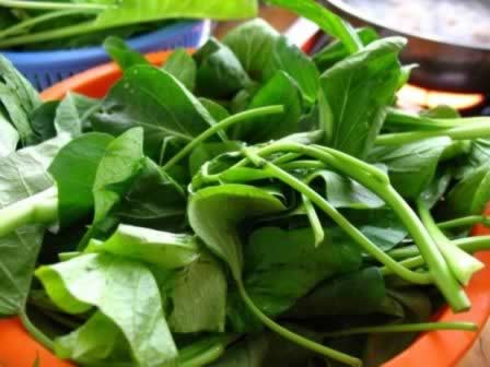 Ů����������16��ʳ�� ������