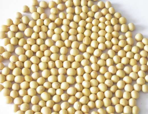 Ů����������Щʳ������鷿���