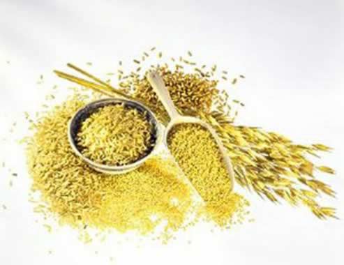 Ů����������Щʳ������鷿���