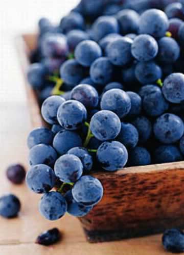 ������Ƥ�� ���ӵ���Ӫ���һ���