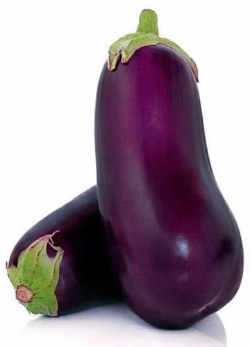 ������Ƥ�� ���ӵ���Ӫ���һ���