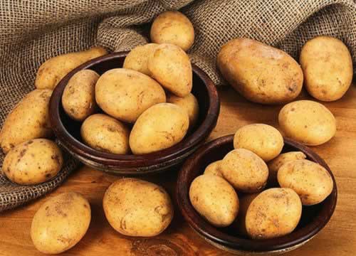 ������Ƥ�� ���ӵ���Ӫ���һ���