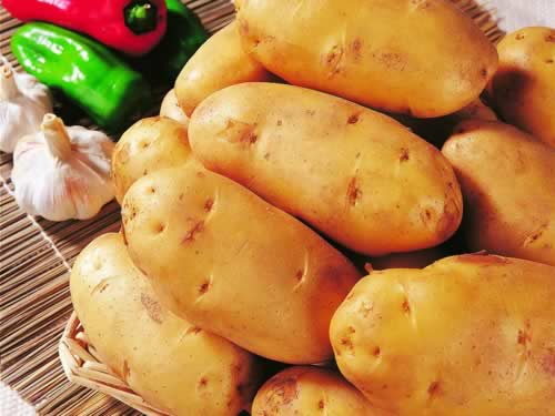 �����Է�ƻ�����׳�ѿ