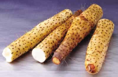 ����6��&ldquo;���в�&rdquo; �������������ð