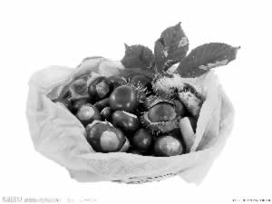 �����������ң�����άC��ƻ��ʮ��