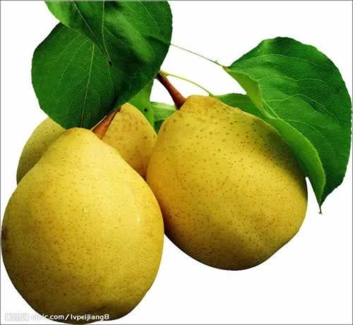 �����ؿ���ϸ����������֭�ľŴ�ô�