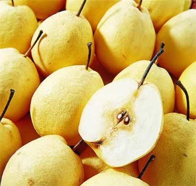 �����ؿ���ϸ����������֭�ľŴ�ô�