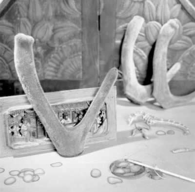 ������������β��ܲ�&ldquo;��&rdquo;