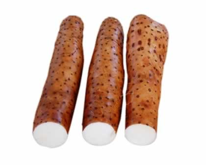 养生进补要对路 冬季多食热粥养胃