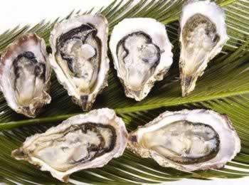 Ů������������&ldquo;������&rdquo;����9��ʳ��