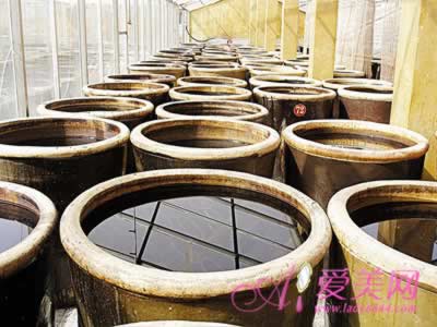 ������ǧ���Դ� ����θ