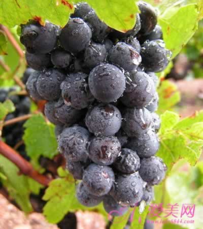 ��������������θ������ ���ѵ��ߴ�Ч