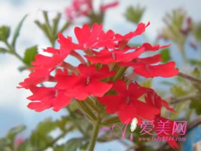 4��ʳ���Ů����ȶԿ�ʹ��