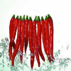 食物的不同味道代表不同的营养