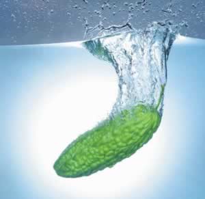 ʳ��Ĳ�ͬζ��������ͬ��Ӫ��