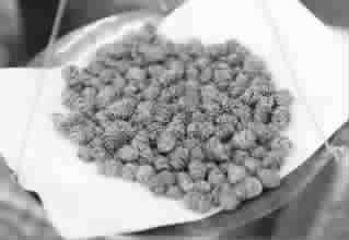 ��Ƥʯ��������Ƣ��θ ǿ���澫