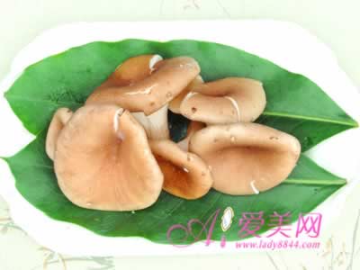 8�����潡���ľ���ʳ�� �����Ի���ٲ���