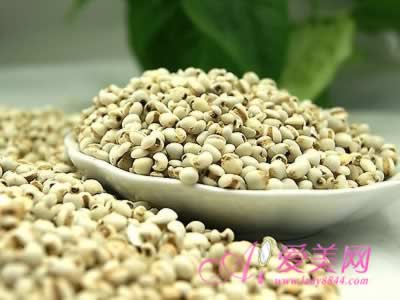 С�����ش�Ӫ�� 6��