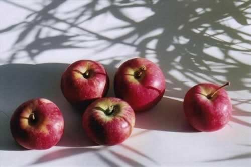 ��ͬ��ɫ��ƻ����Ч��ͬ �������