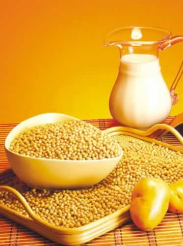 ������12Сʱ���� Ӫ����ḻ