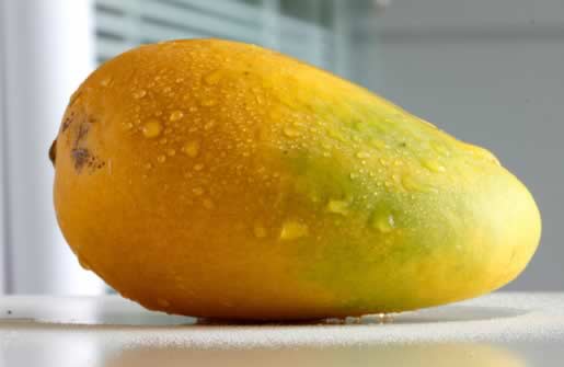 �������裺10�����ˮ����Ȼ������˪