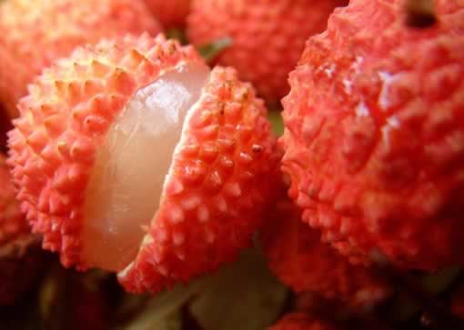 �������裺10�����ˮ����Ȼ������˪