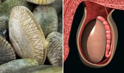 ʮ�������������ٵĹ��� ��ɶ��ɶ