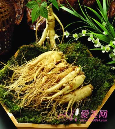 ���������˲ε��� �Ƽ��˲ε�6�ֳԷ�