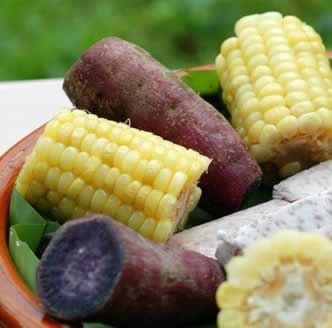 ʳ��Ŵ��ط�Ӫ���ܹ�