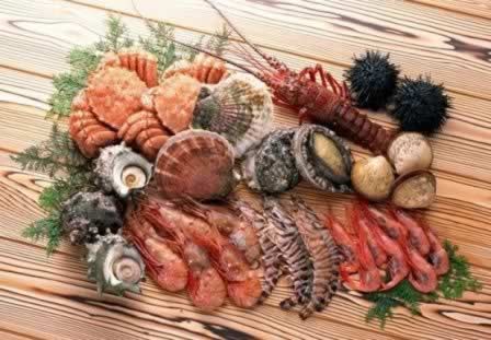 ����ʳ������촽���� Ӧ������������