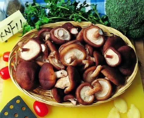 �����������㹽���� 6��ʳ�þ���Ч����