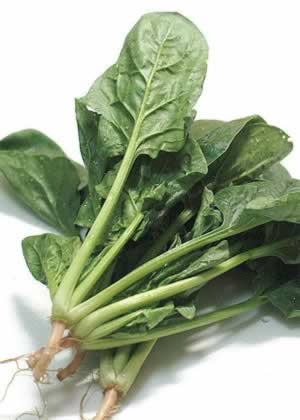 ���裺���˿��� ���Ƶ����ּ���