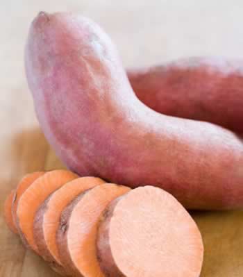 ��֪�����������ɲ�������