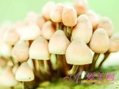 �������������̴� 10�ֲ��Ժ��һ���ӵ�ʳ��