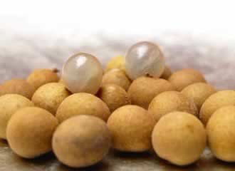 ��Բ9��ʳ�Ʒ� ��Բ�Ƣ���԰���