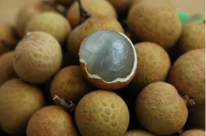 ��Բ9��ʳ�Ʒ� ��Բ�Ƣ���԰���