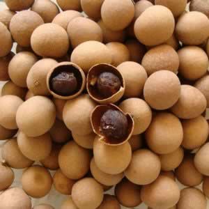 ��Բ9��ʳ�Ʒ� ��Բ�Ƣ���԰���